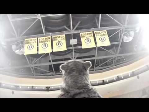 Boston Bruins Bear Commercials