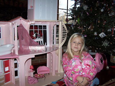 Build Your Own Barbie House