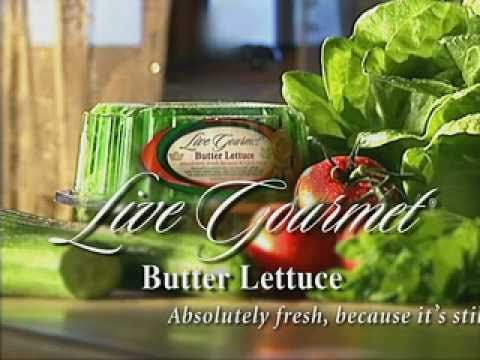 Butter Lettuce Salad Ideas