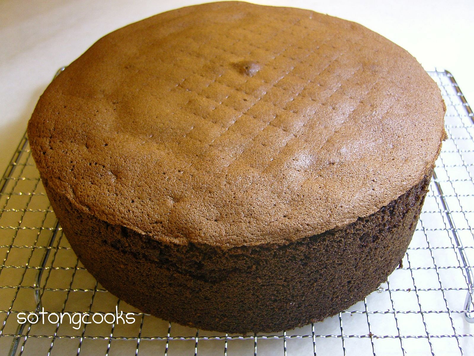 Cake Recipes Chocolate Sponge