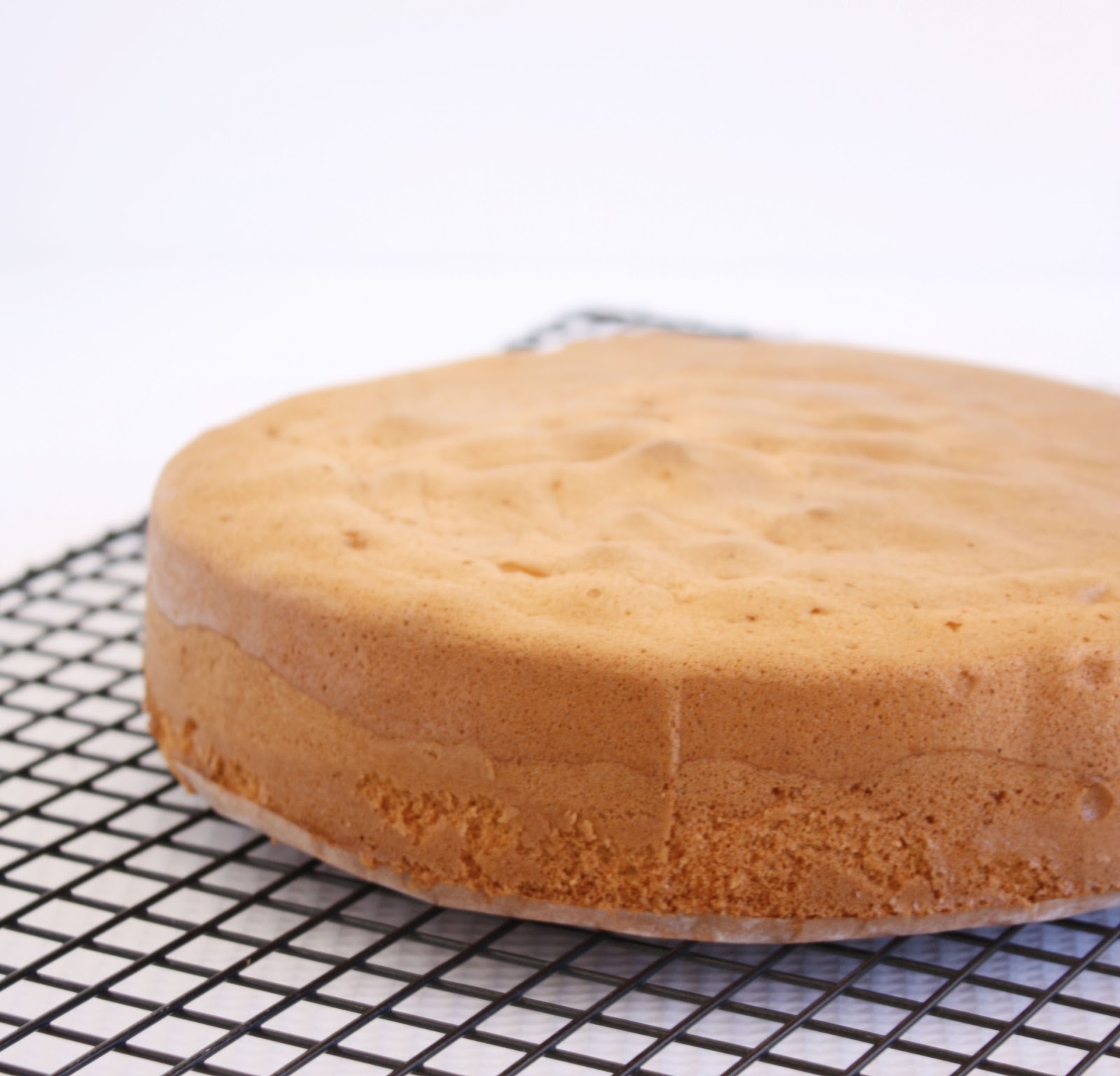 Cake Recipes Easy Sponge
