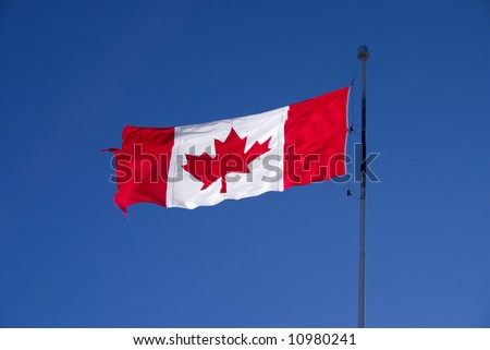 Canadian Flag Waving In The Wind