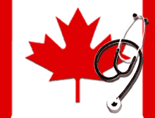 Canadian Healthcare System Costs