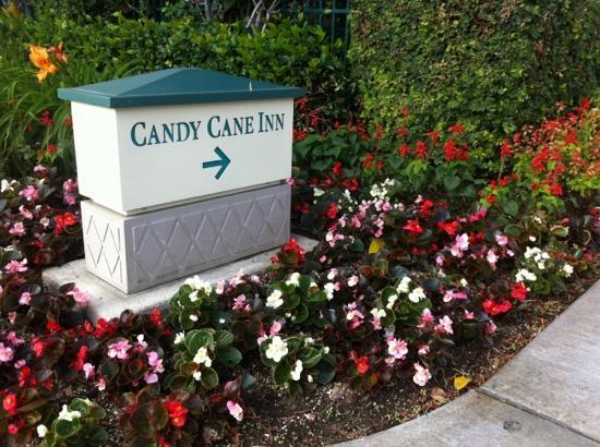 Candy Cane Inn Anaheim Prices