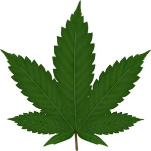 Cannabis Leaf Logo