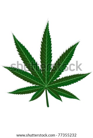 Cannabis Leaf Logo