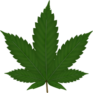 Cannabis Leaf Outline