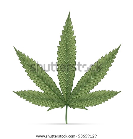 Cannabis Leaf Pictures