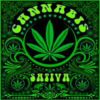 Cannabis Sativa Wallpaper