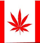 Cannabis Seeds Canada Law