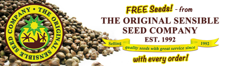 Cannabis Seeds For Sale