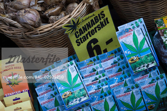 Cannabis Seeds For Sale