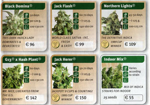 Cannabis Seeds For Sale In Amsterdam