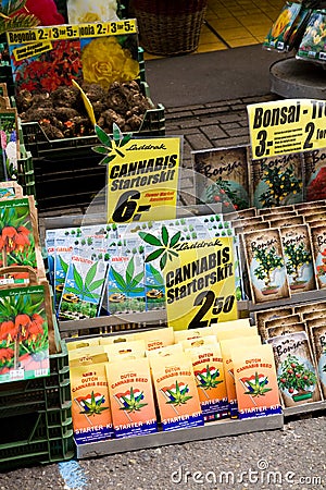 Cannabis Seeds For Sale In Amsterdam