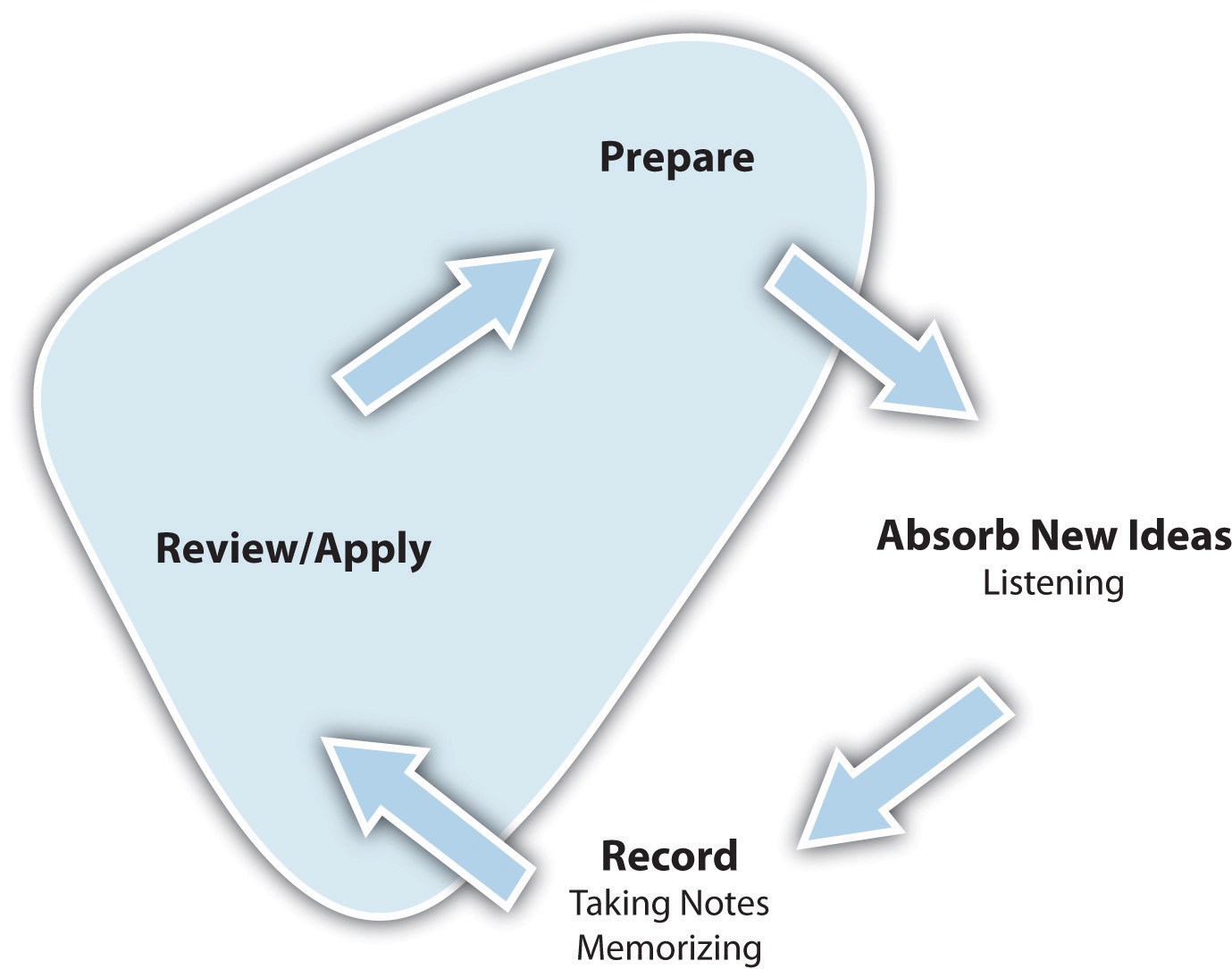 Career Development Cycle