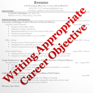Career Objective For Freshers In Resume