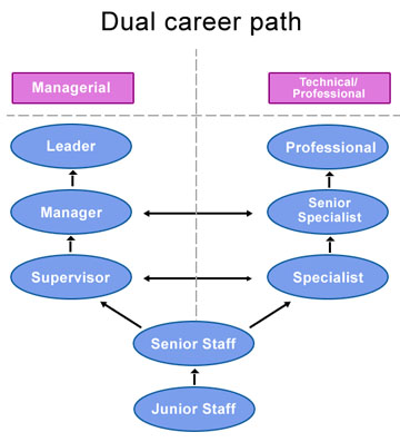 Career Path Example