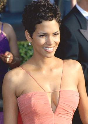 Catwoman Halle Berry Hairstyle