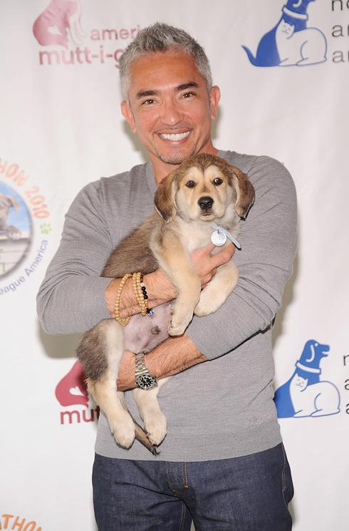 Cesar Millan Wife