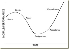 Change Management Curve