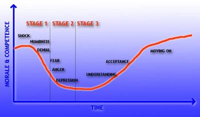 Change Management Curve Model