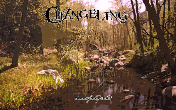 Changeling The Lost