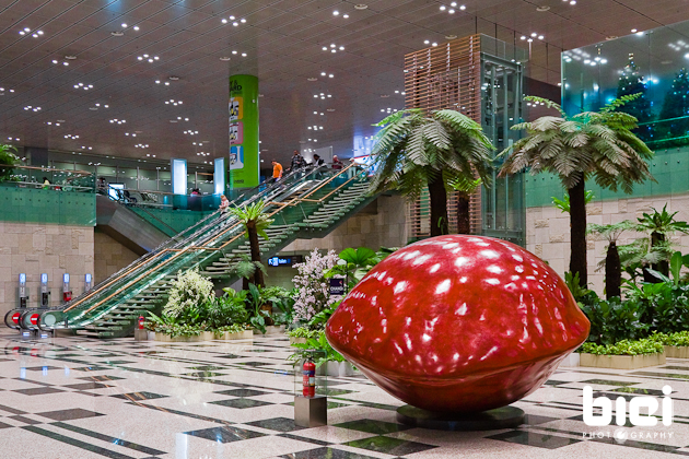 Changi Airport Terminal 3 Architect