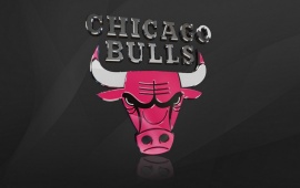 Chicago Bulls Wallpaper Iphone
