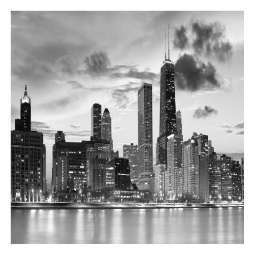 Chicago Skyline Pictures Black And White