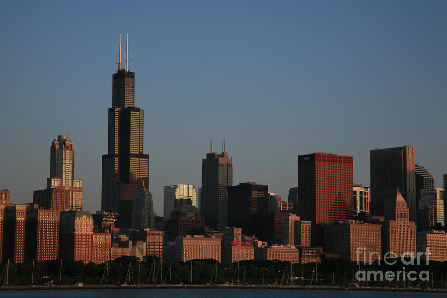 Chicago Skyline Pictures For Sale