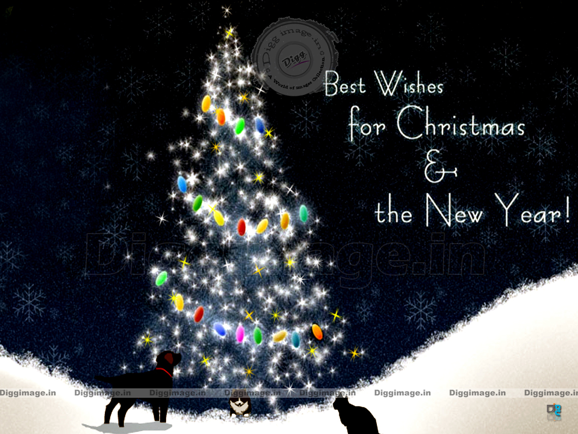 Christmas And New Year Greetings Wishes