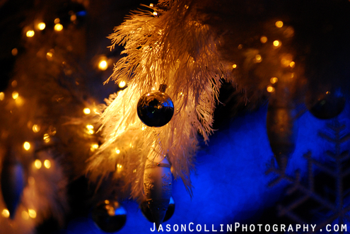 Christmas Lights Photography