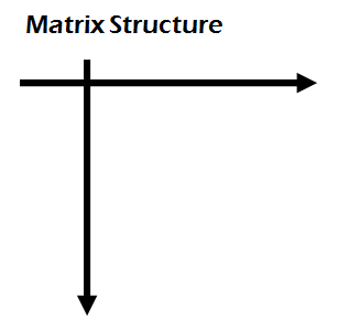 Columns And Rows Of Matrix