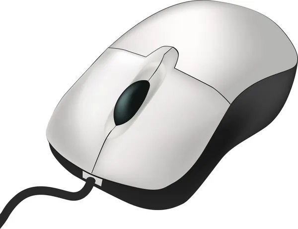 Computer Mouse