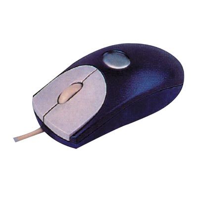 Computer Mouse