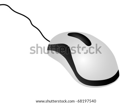 Computer Mouse