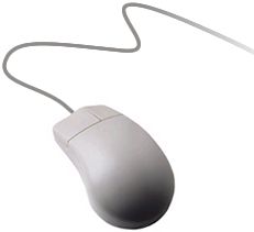 Computer Mouse Icon