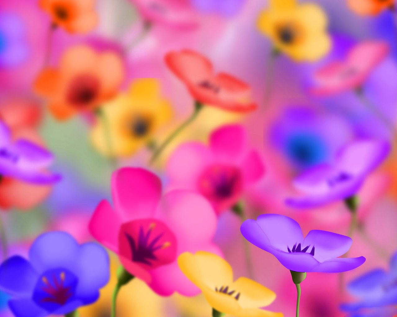 Computer Wallpapers Flowers