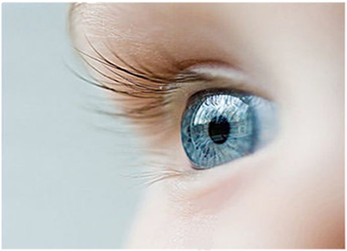 Contact Lenses Blue Eyes