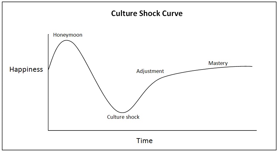 Culture Shock Curve