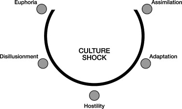 Culture Shock Stages Powerpoint Presentation