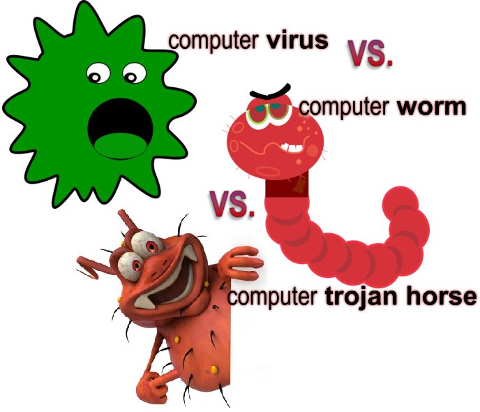 Definition Of Computer Viruses And Worms