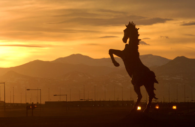 Denver Airport Horse Story