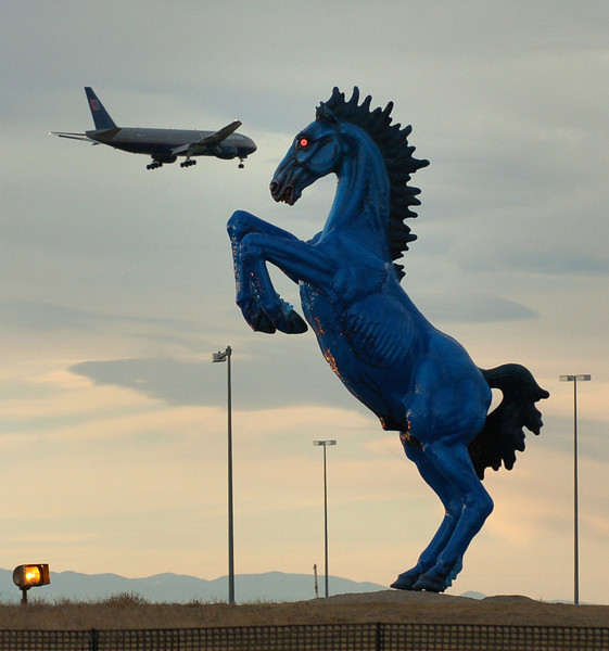 Denver International Airport Horse