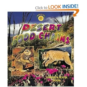 Desert Food Chains For Kids