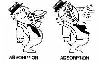 Difference Between Adsorption And Absorption