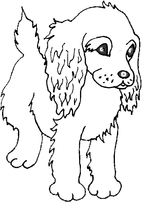 Dog Webkinz Coloring Pages