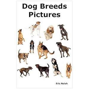 Dogs Breed In India With Picture