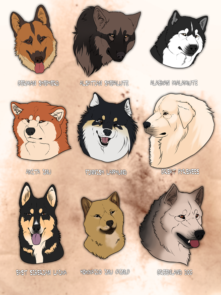 Dogs Breed With Images