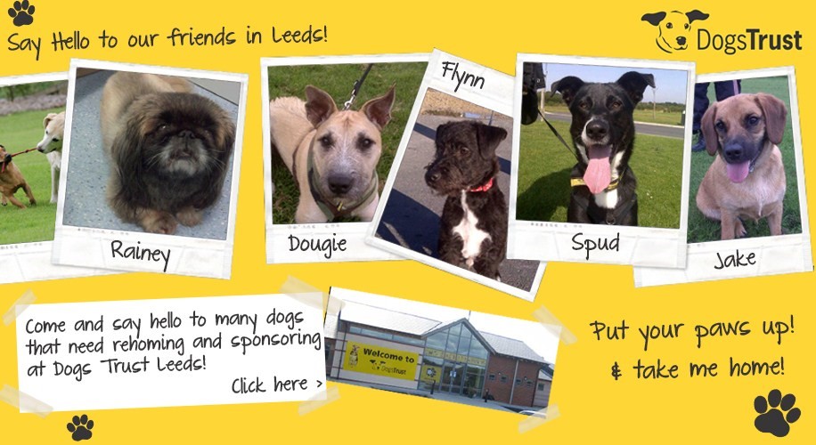 Dogs Trust Leeds Postcode